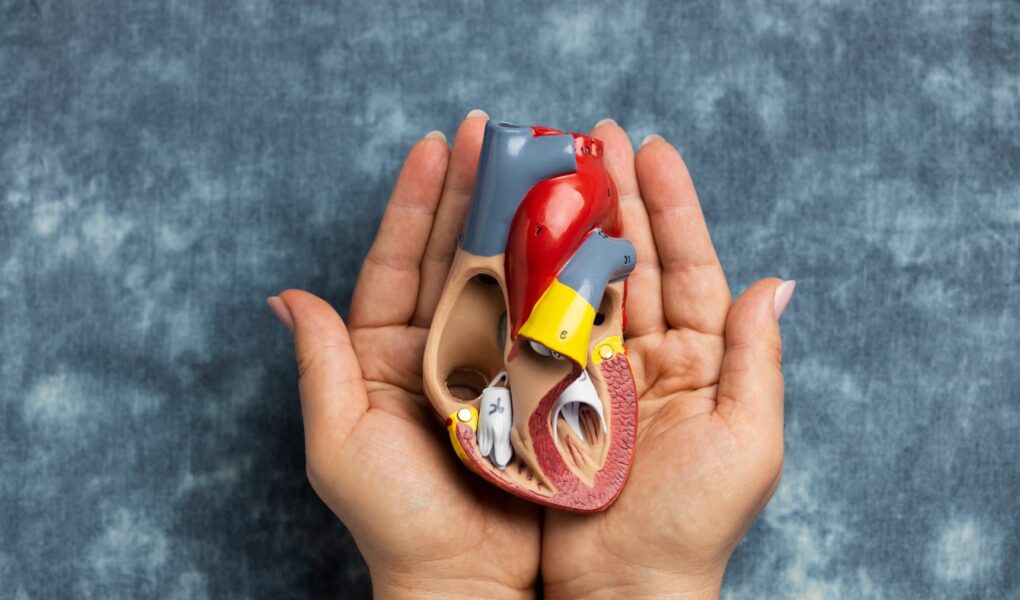 Liver Surgery