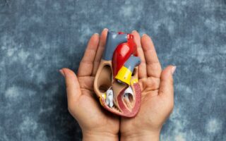 Liver Surgery