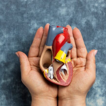 Liver Surgery