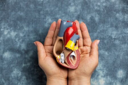 Liver Surgery
